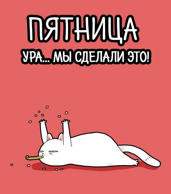 А вы знали, что...
🔹руководители и hr чаще всего увольняют сотрудников по пятницам. Потому что боятся скандала. Потому что за выходные у сотрудника эмоционально все немного уляжется | Сетка — социальная сеть от hh.ru