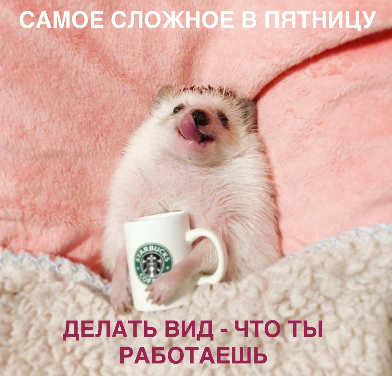Топ 3 как провести день легко, но продуктивно:
Пятница - мозг в режиме “только бы дожить до вечера”
1 | Сетка — социальная сеть от hh.ru