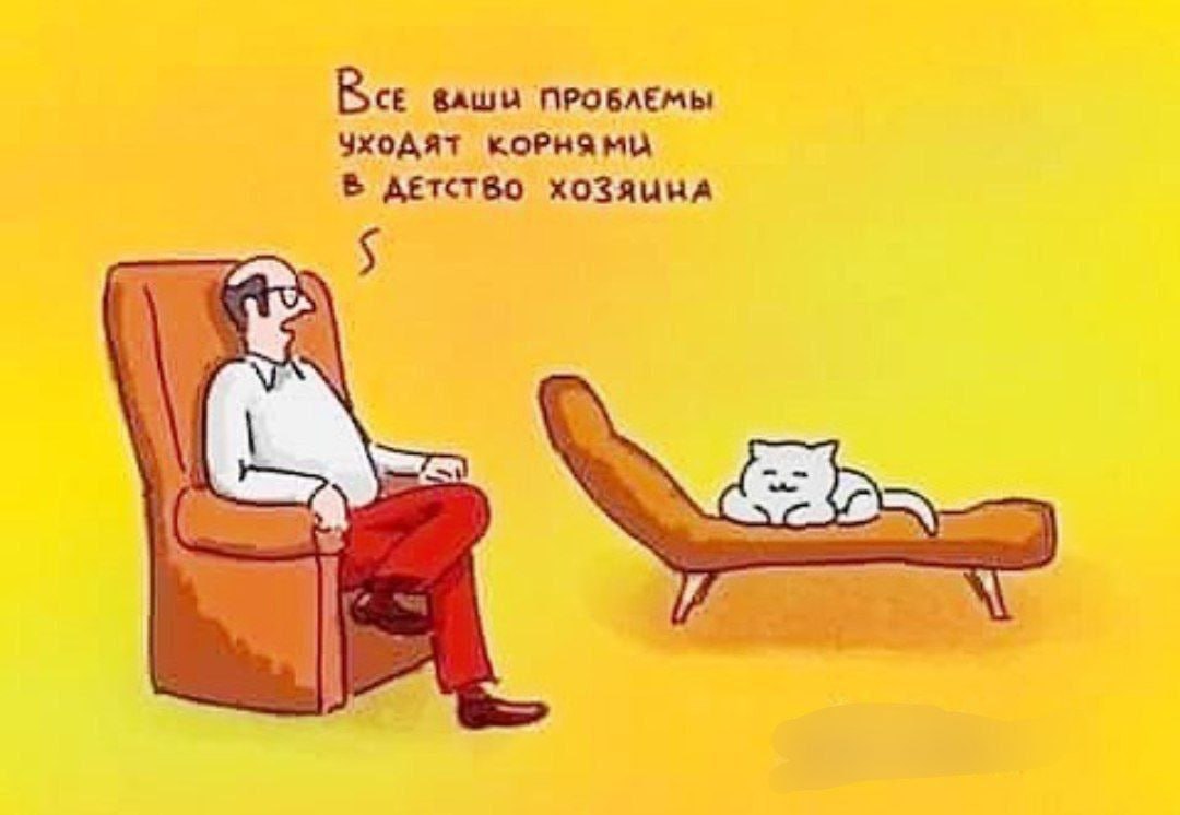 #cats #psy | Сетка — социальная сеть от hh.ru