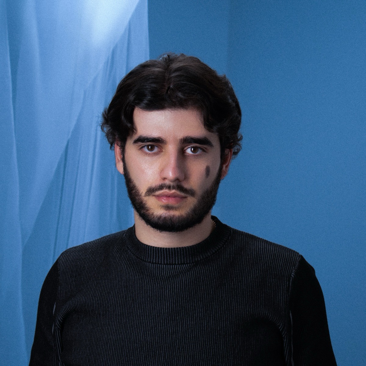 Арсен Айрапетян | Сетка — социальная сеть от hh.ru