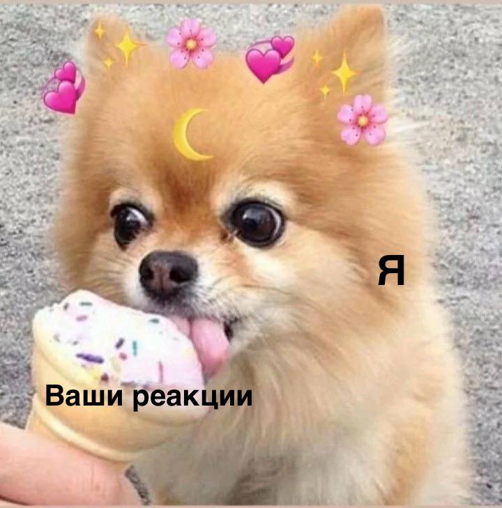 Просто напоминаю, что ваши реакции для меня, как мороженное в московскую 35ти градусную жару 💖 | Сетка — социальная сеть от hh.ru