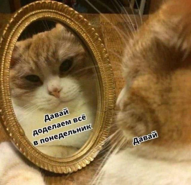 У кого какие планы на выходные?
Для тех, кто в Петербурге - приглашаю на 1С Бранч в это воскресенье в 11 часов
В личку пришел вопрос: "Я впервые на таком мероприятии, какой регламент бранча?"
Главное ... | Сетка — социальная сеть от hh.ru