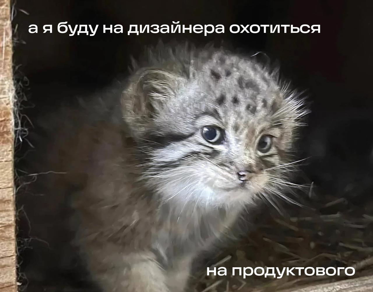 Сюда | Сетка — социальная сеть от hh.ru