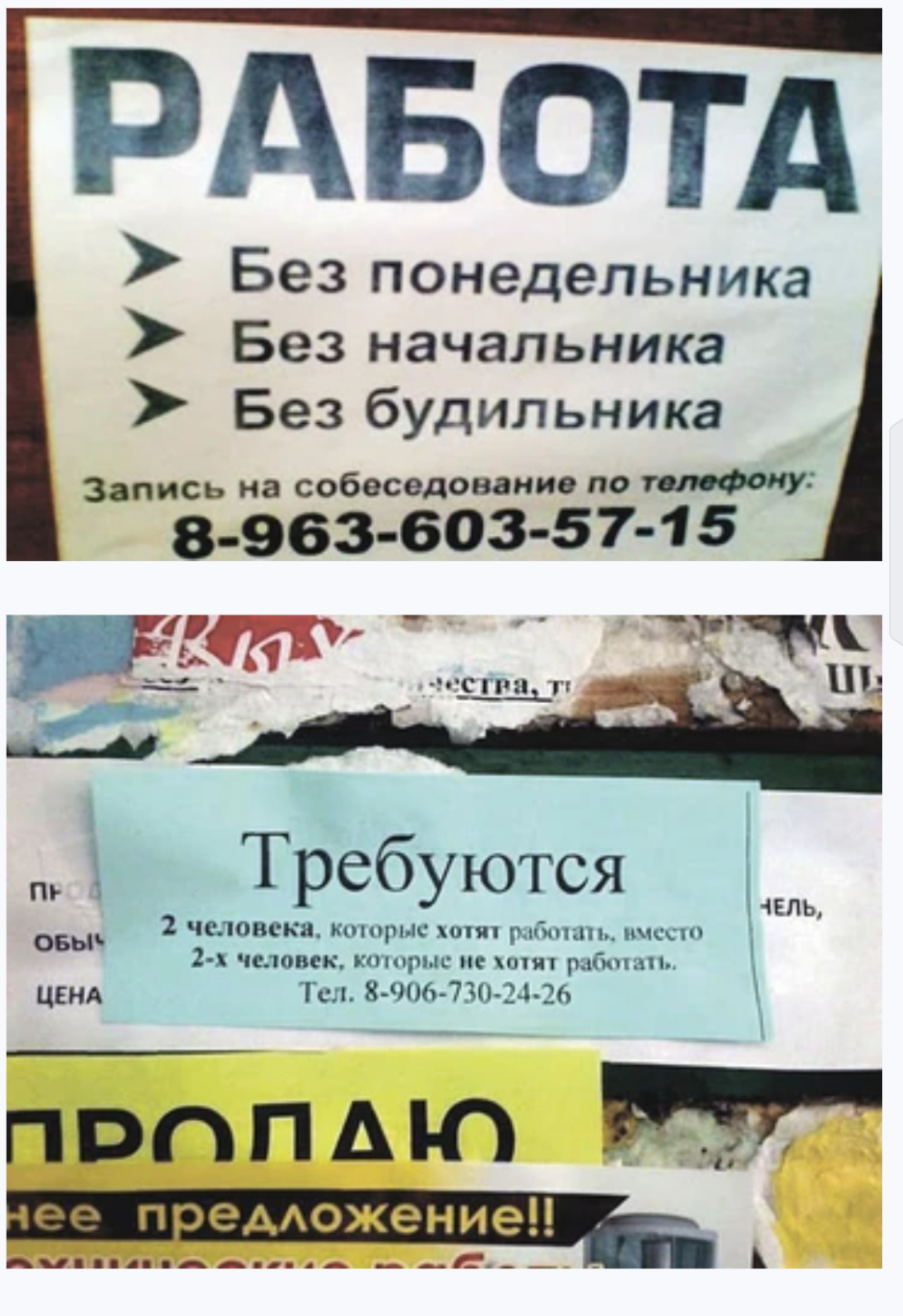 Смех продлевает жизнь, особенно, когда он про работу🤣🤣🤣 | Сетка — социальная сеть от hh.ru