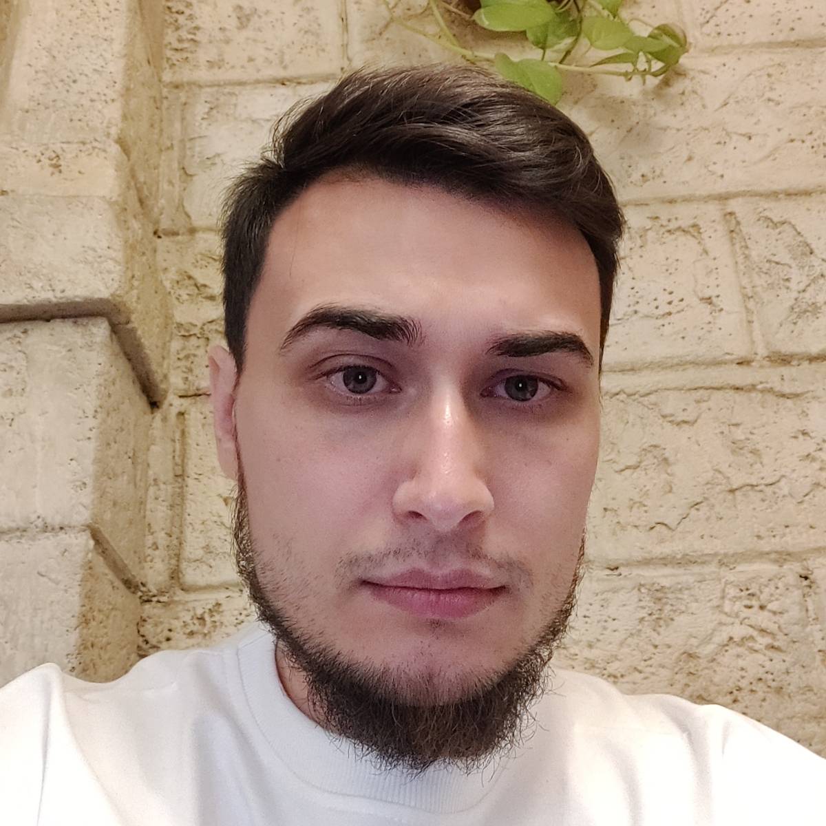 Андрей Романовский