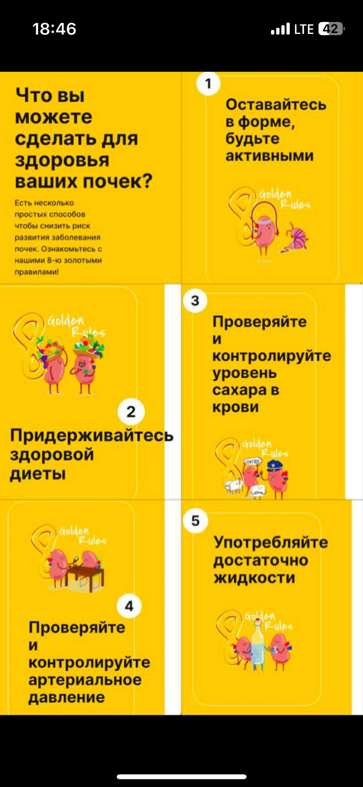 Как сохранить почки здоровыми? | Сетка — социальная сеть от hh.ru