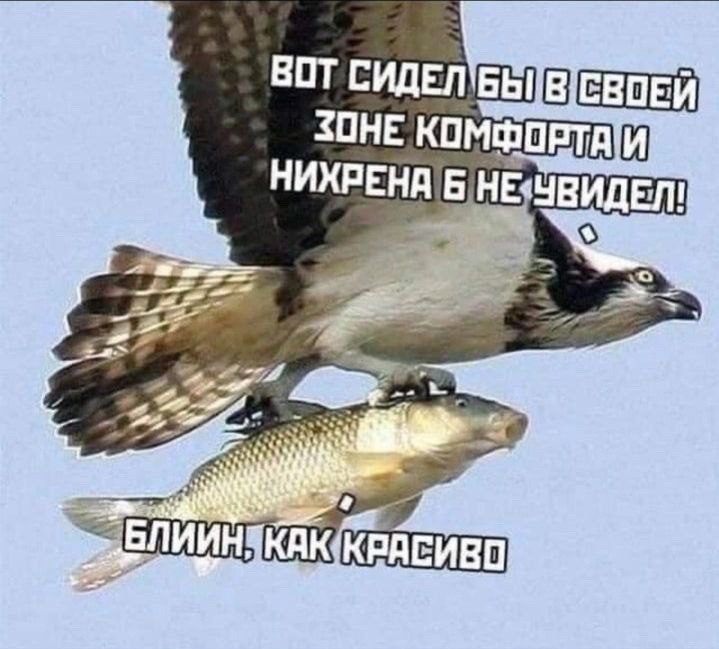Офисно-житейское  выживание 11. Практика Зоны Комфорта | Сетка — социальная сеть от hh.ru