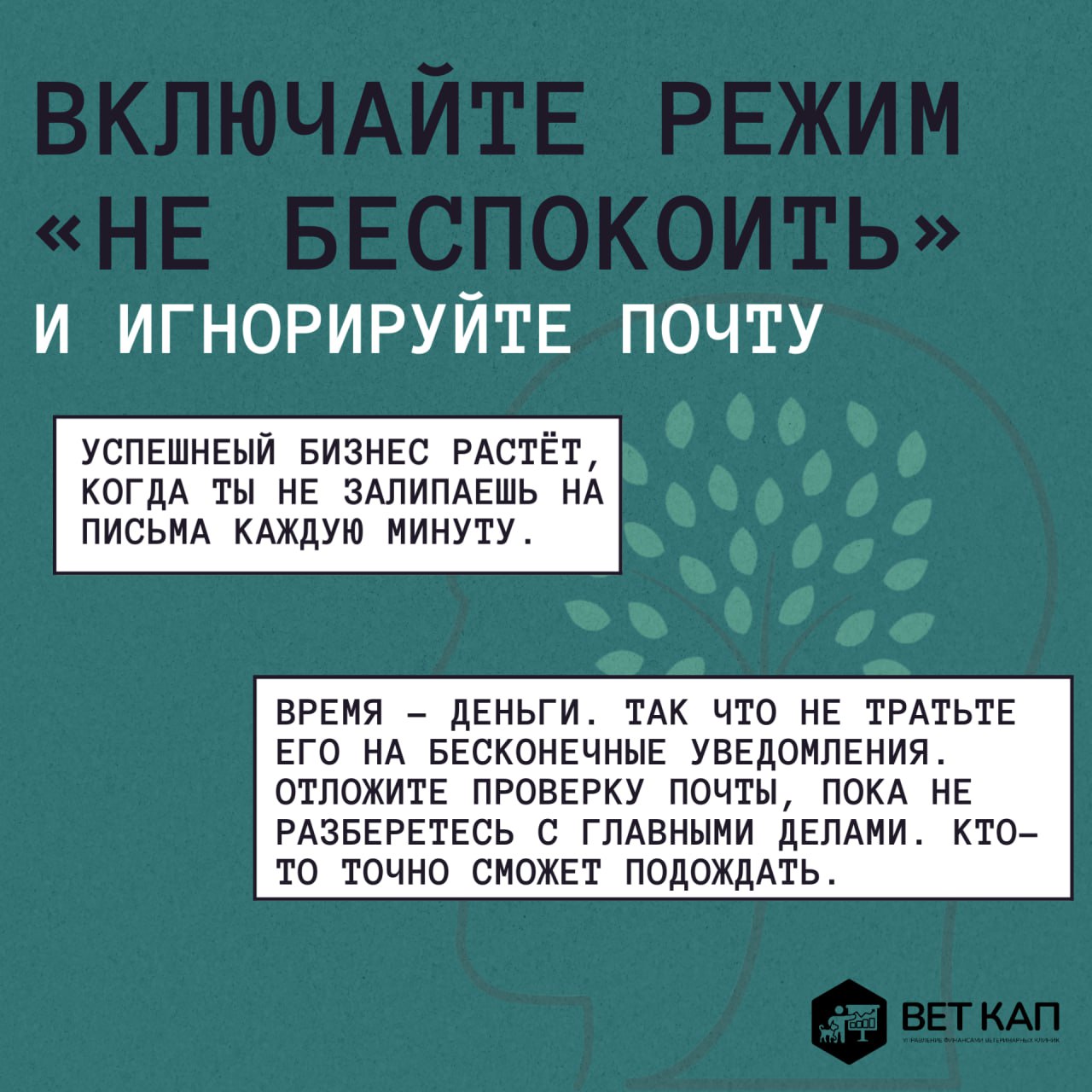 🧟 Как владельцу ветеринарной клиники оставаться на плаву в условиях кризиса и цейтнота
Управлять клиникой — значит ежедневно сталкиваться с вызовами: поток пациентов, контроль расходов, поиск кадров и... | Сетка — социальная сеть от hh.ru
