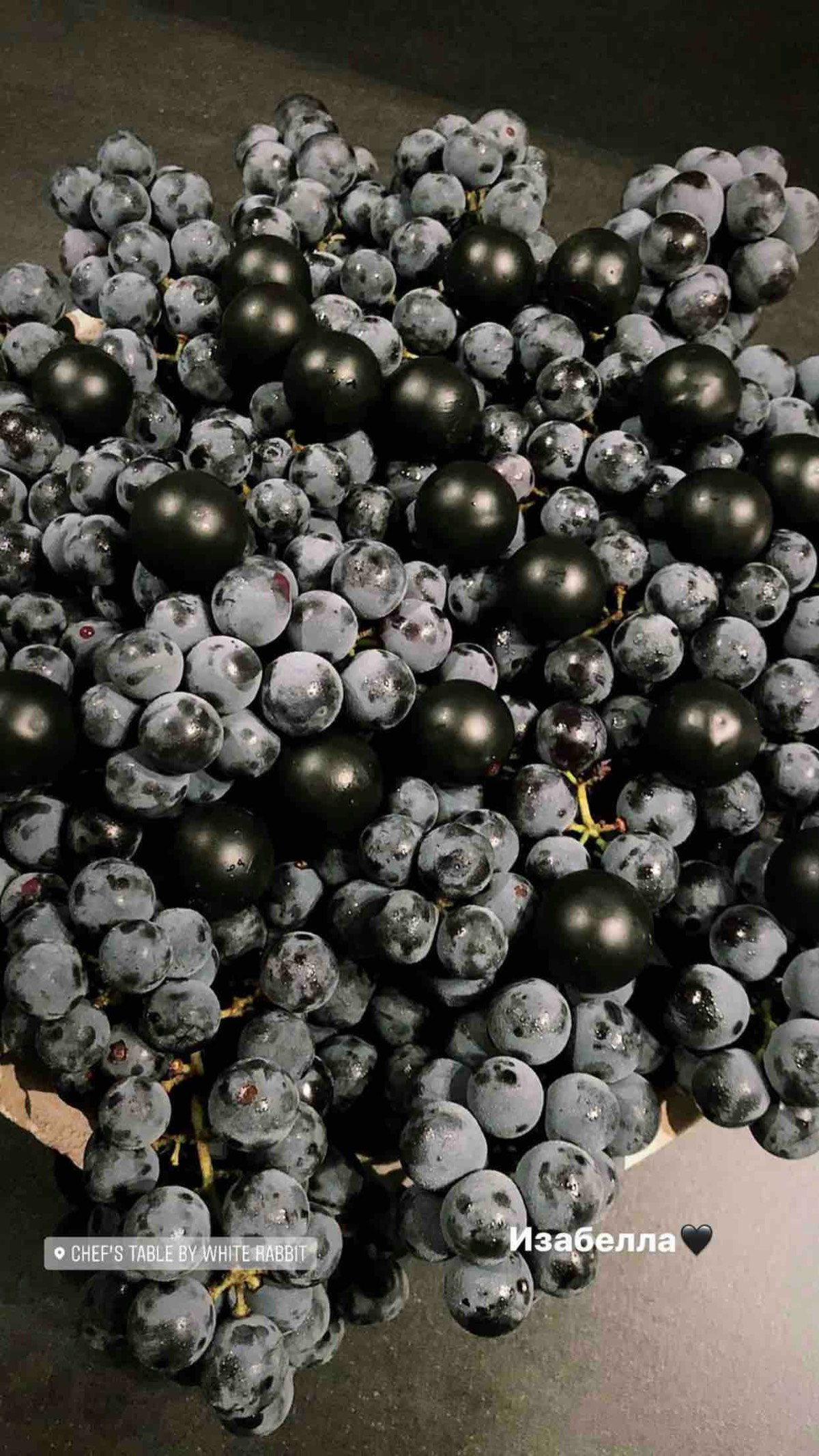 Дмитрий Яковенко | Сетка — социальная сеть от hh.ru