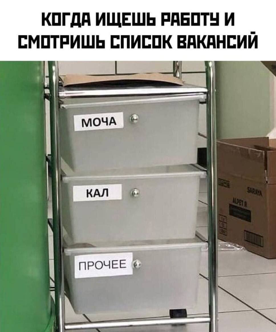 Оформляем по совместительству, ГПХ или самозанятости, испытательный срок для соискателя с 5-летним опытом 3 месяца, оклад 45, далее по результатам, потолок 65, перед трудоустройством 4хэтапное тестово... | Сетка — социальная сеть от hh.ru