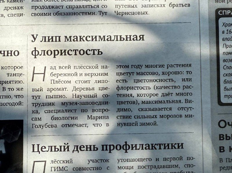 Если читать заметки в газете, то только такие. | Сетка — социальная сеть от hh.ru