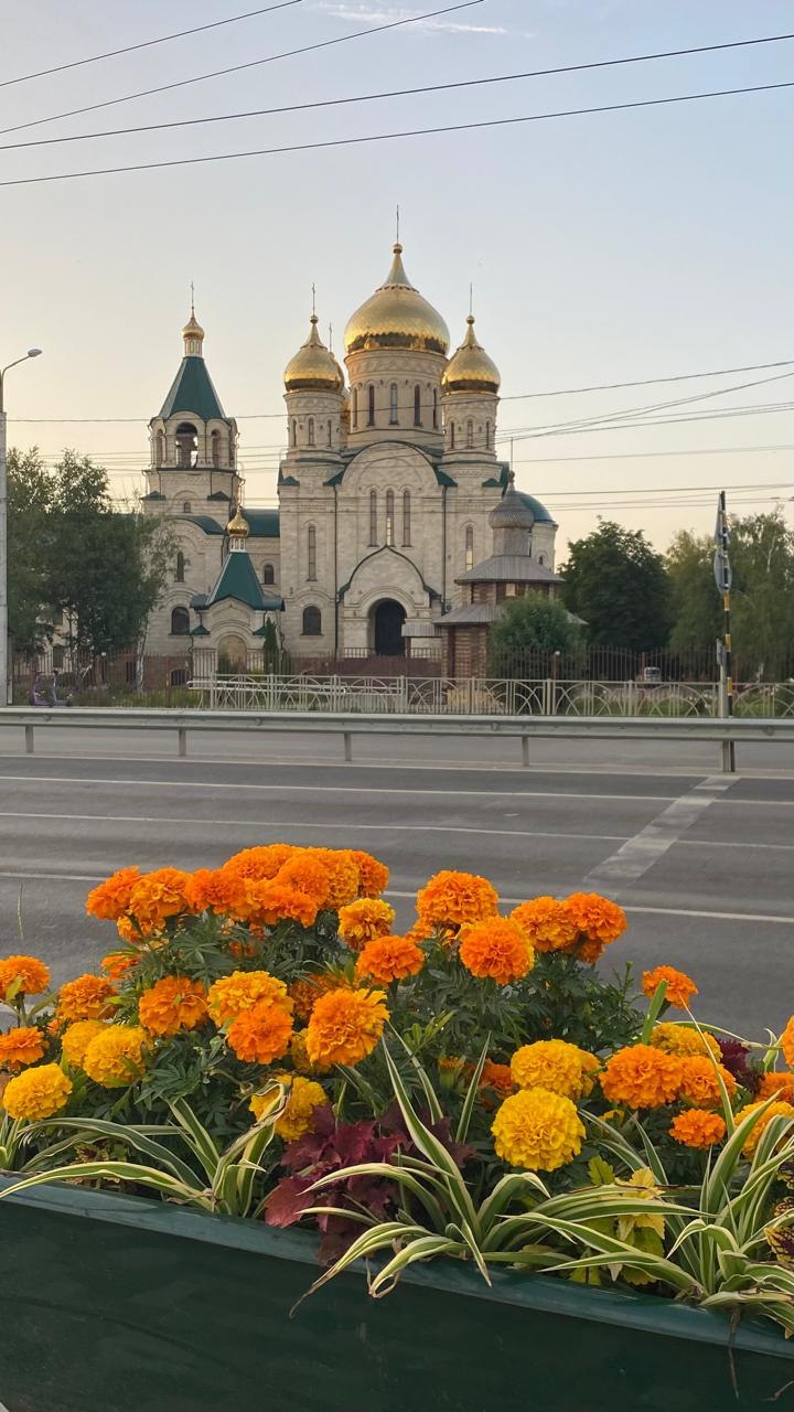 🌸 Летний Ставрополь утопает в цветах! 🌼
Этим летом "Горзеленстрой" высадил около 400 тысяч цветов по всему городу | Сетка — социальная сеть от hh.ru