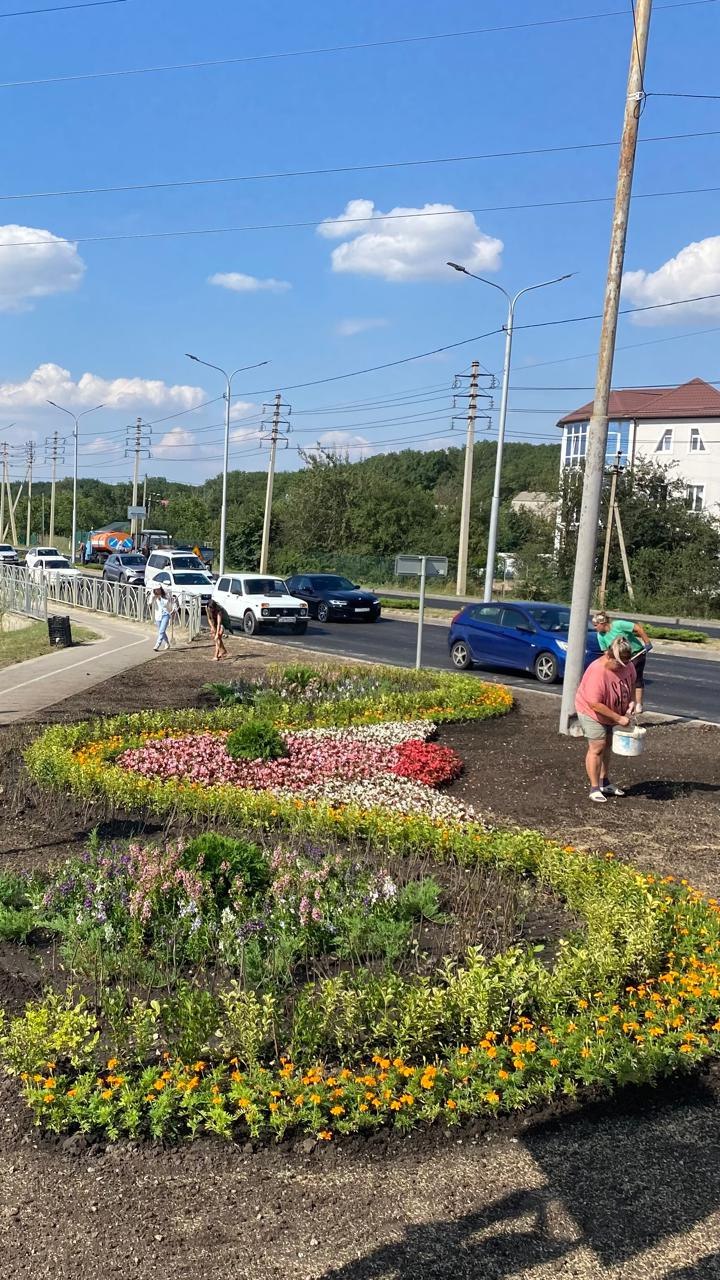 🌸 Летний Ставрополь утопает в цветах! 🌼
Этим летом "Горзеленстрой" высадил около 400 тысяч цветов по всему городу | Сетка — социальная сеть от hh.ru