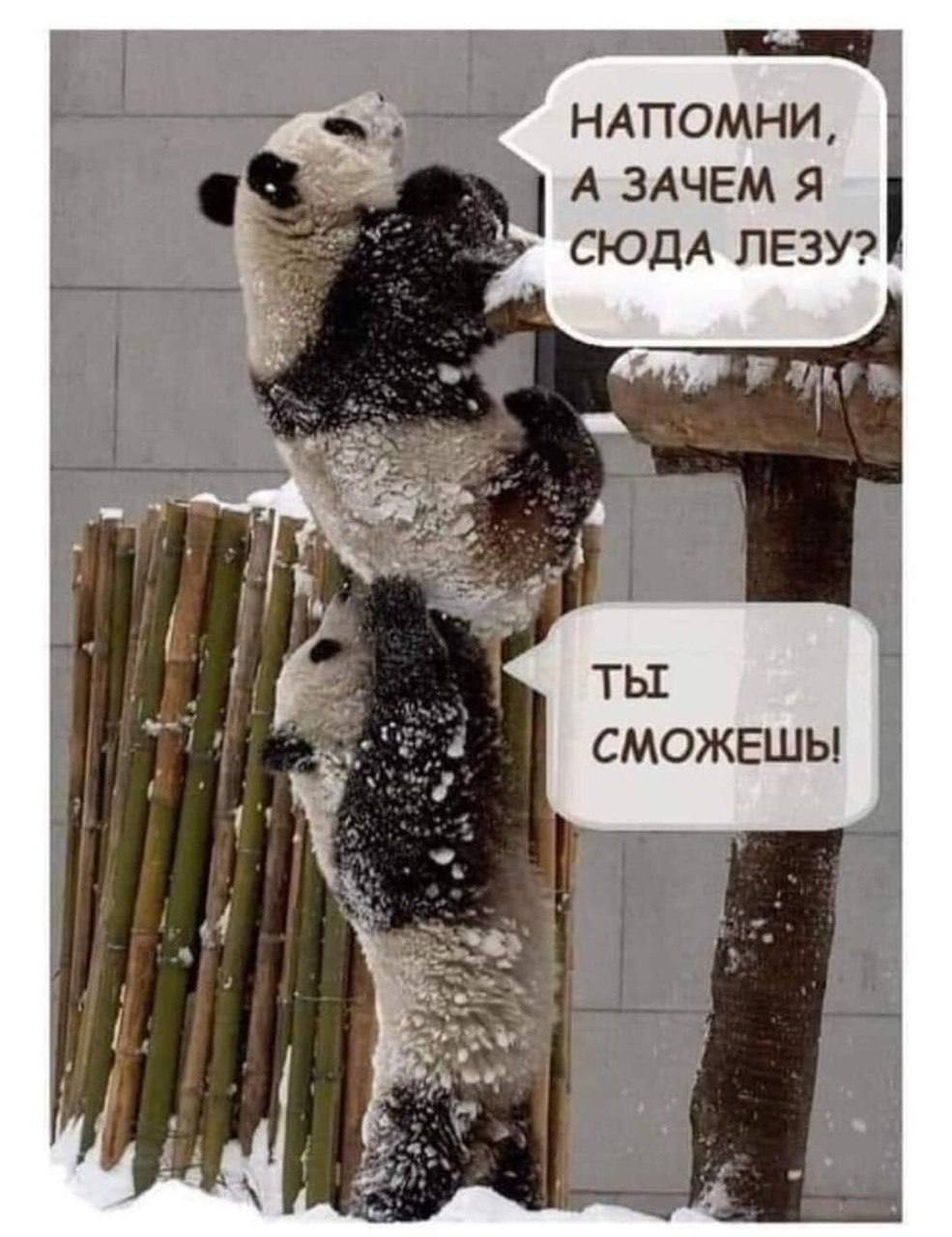 Доброе утро, друзья!☕️
Разрабатывая свой авторский метод выхода из жизненного тупика, я примерно так себя и чувствую😀
Прекрасного воскресенья! 🫶 | Сетка — социальная сеть от hh.ru