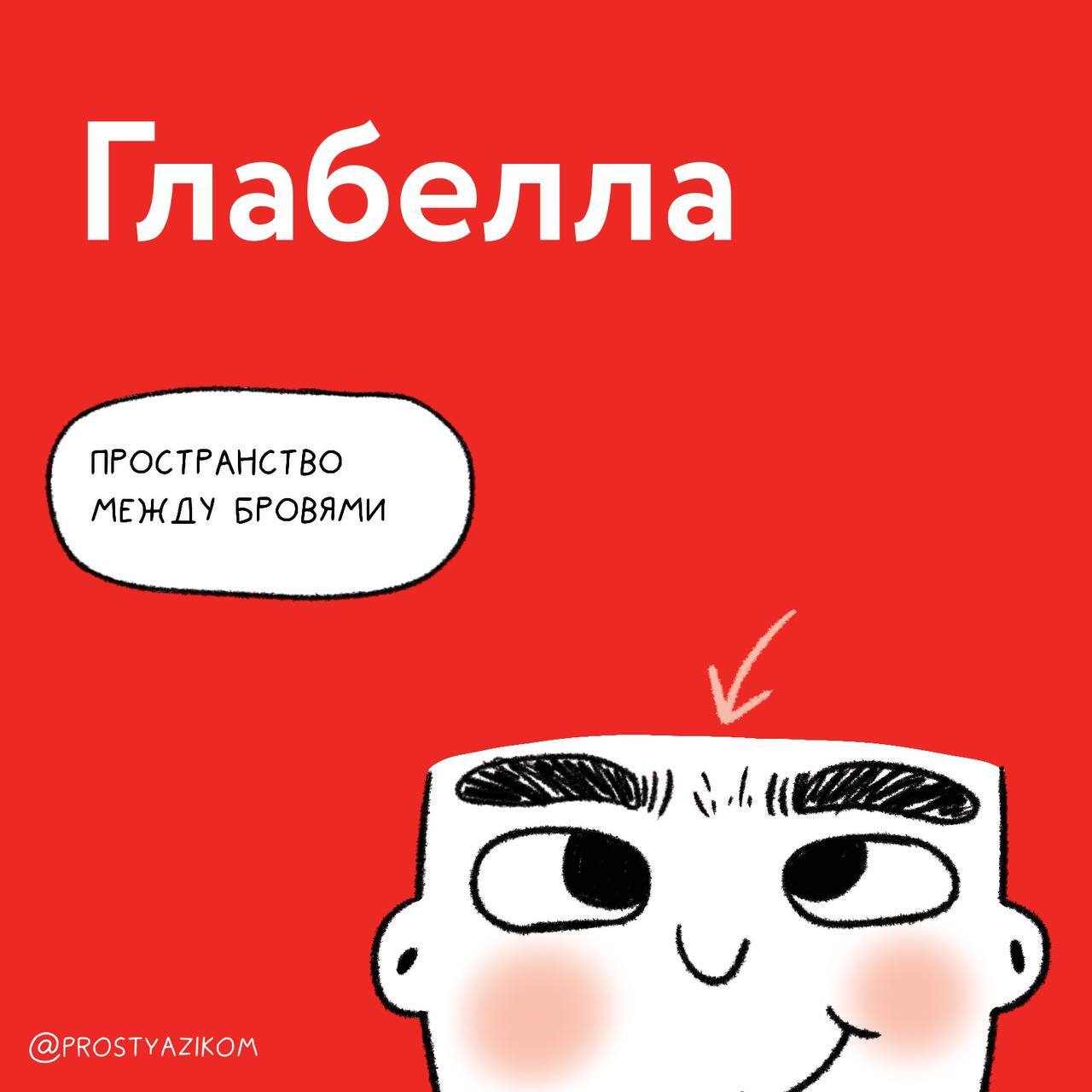 😓 «Пипидастр», «петрикор» и «фриссон» – такие слова вообще существуют?
Русский язык настолько необъятный, что невозможно знать даже близко все слова | Сетка — социальная сеть от hh.ru