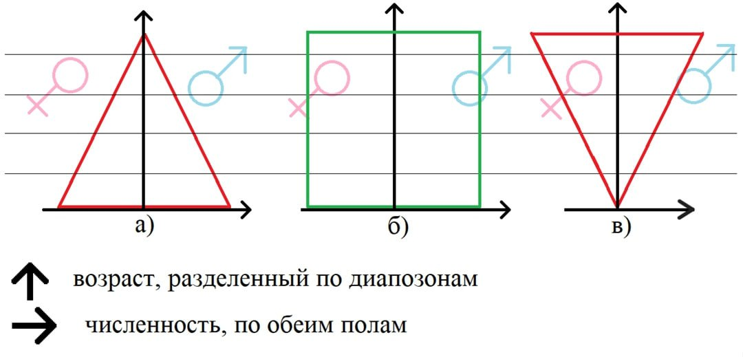 Демография кадров | Сетка — социальная сеть от hh.ru