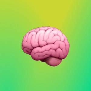 Екатерина Демченкова | Сетка — социальная сеть от hh.ru