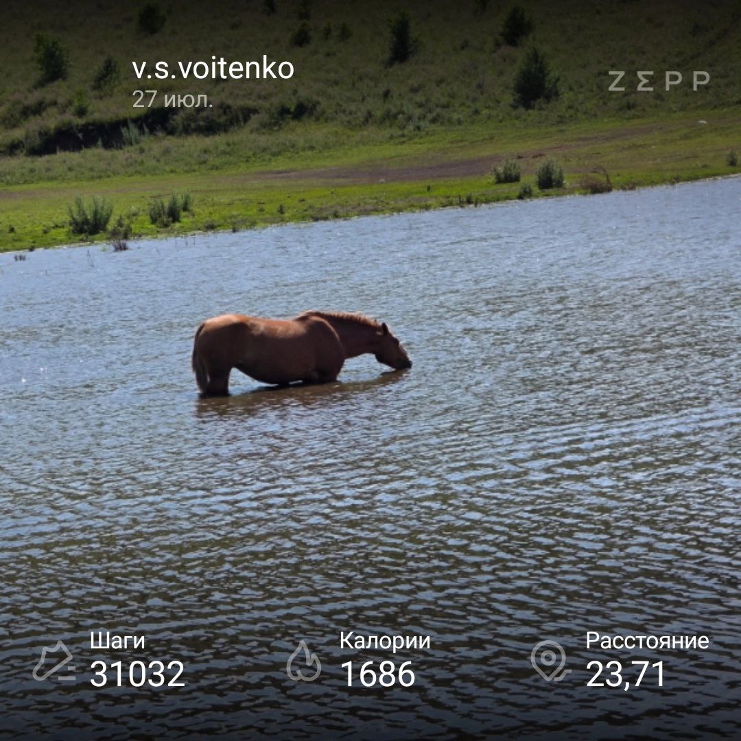 Нешуточно разгулялся по Алтаю. Всего за неделю прошёл пешком 113.2 км.
Мало? Возможно! Но не для меня :) Я обычно в день прохожу 2.5 км, ибо это мой путь до работы и обратно домой | Сетка — социальная сеть от hh.ru
