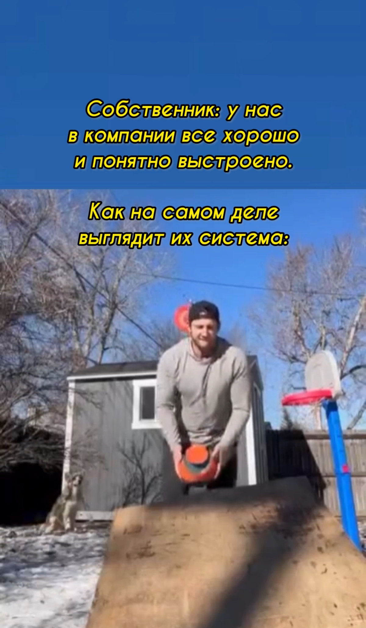 Коллеги! | Сетка — социальная сеть от hh.ru