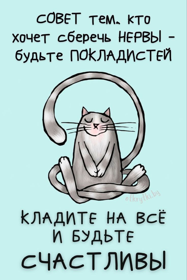 С понедельником!
Влетаем в новую неделю с легкостью и энтузиазмом 🚀.
А дальше разберёмся 😉 | Сетка — социальная сеть от hh.ru