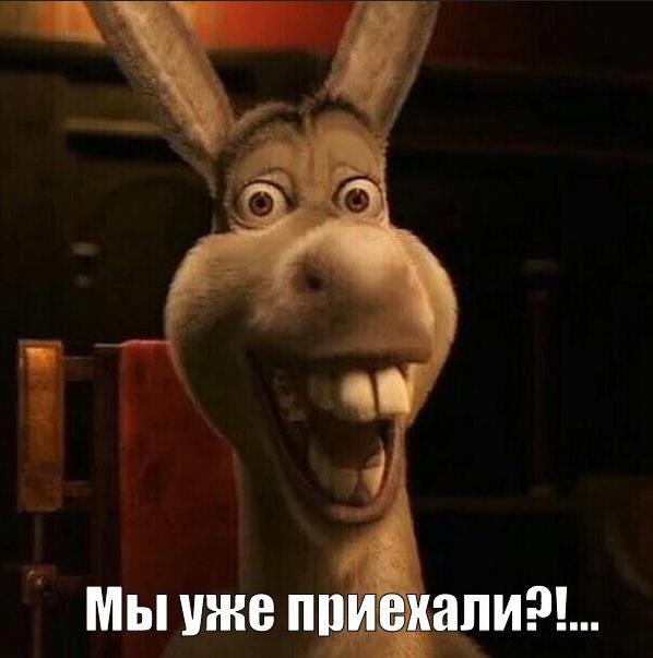 Эдди Мёрфи подтвердил, что DreamWorks работает над отдельным полнометражным фильмом про Осла | Сетка — социальная сеть от hh.ru
