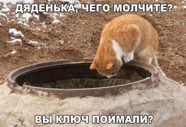 Кожаный молчит 😼
Блог—Инженера с утра и навсегда ❤️
✴️ СУОТ 🔐 Услуги
В этом посте были ссылки, но мы их удалили по правилам Сетки | Сетка — социальная сеть от hh.ru