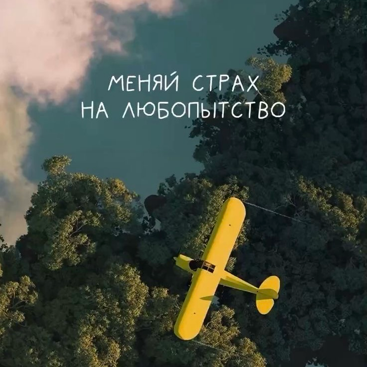 Почему никто не говорит о том, как «свои» душат новичков? | Сетка — социальная сеть от hh.ru