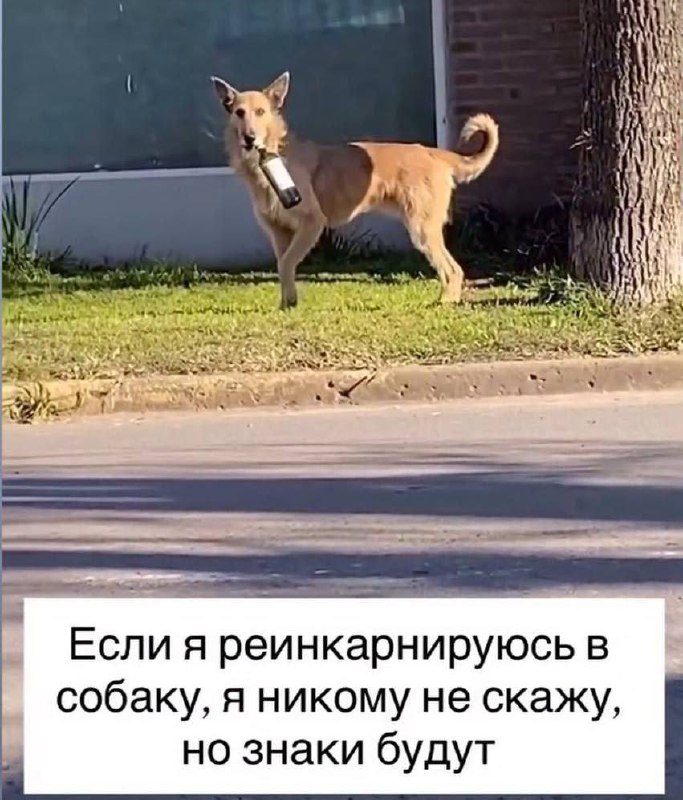 Делись в комментариях своим любимым мемом прошлой недели.
#понирупор #мемврупор | Сетка — социальная сеть от hh.ru