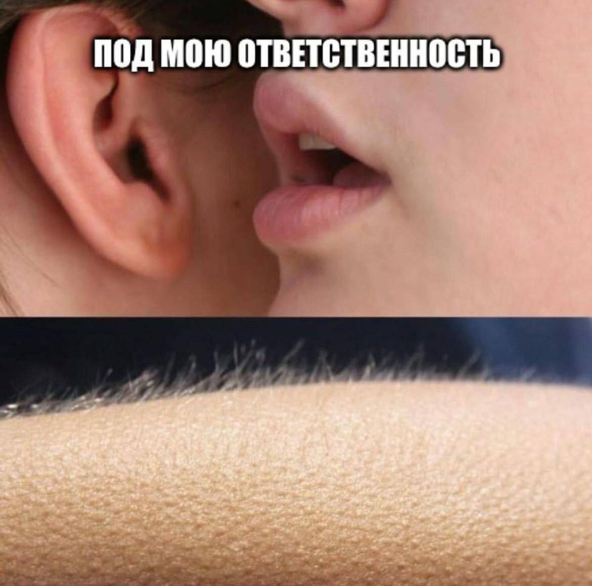 краткий гайд по карьерке ГИПа: | Сетка — социальная сеть от hh.ru