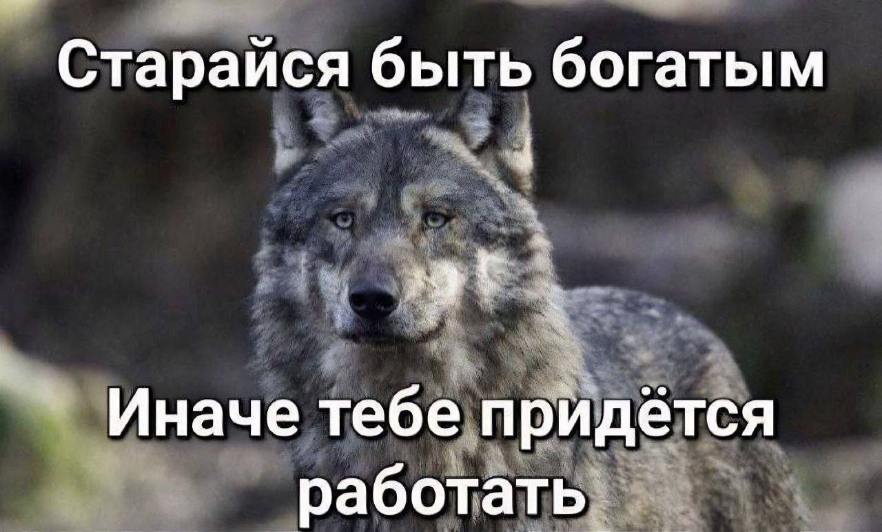 Мотивация на неделю 💪🏻 | Сетка — социальная сеть от hh.ru