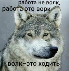 Про приключения рынка труда
Я иногда людей продаю в разные места. Резюме их закидываю, рекомендую, и так далее | Сетка — социальная сеть от hh.ru