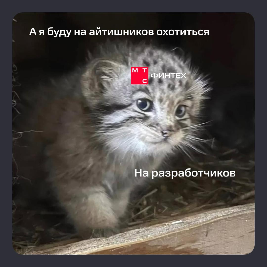 Шутки шутками, а классные специалисты нам правда нужны 🤩 | Сетка — социальная сеть от hh.ru