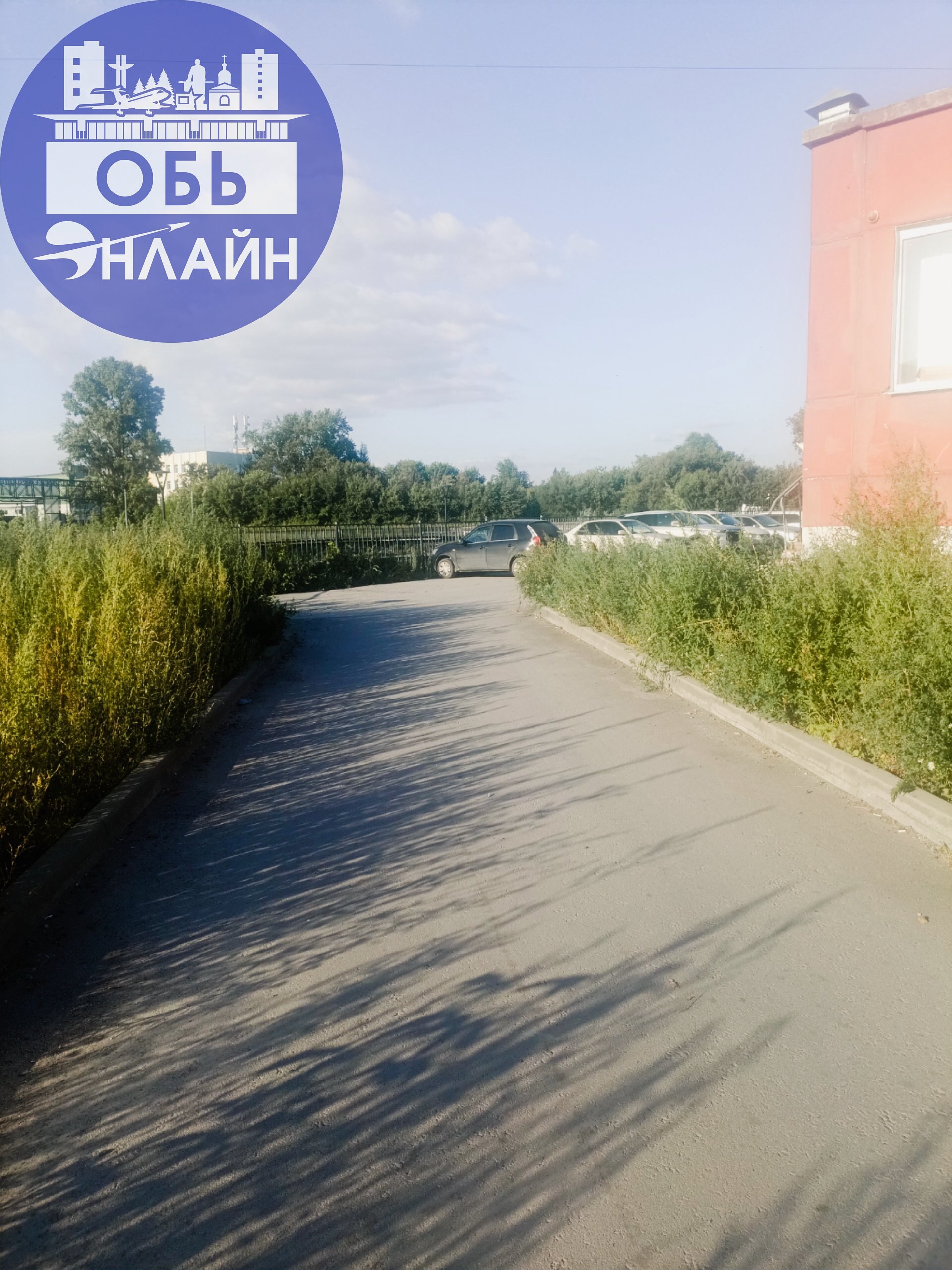↗ Доброе вечера читающим) Знаете у нас в Оби наверное уже закономерность, пока не выложишь в сеть, ничего не двигается с места | Сетка — социальная сеть от hh.ru