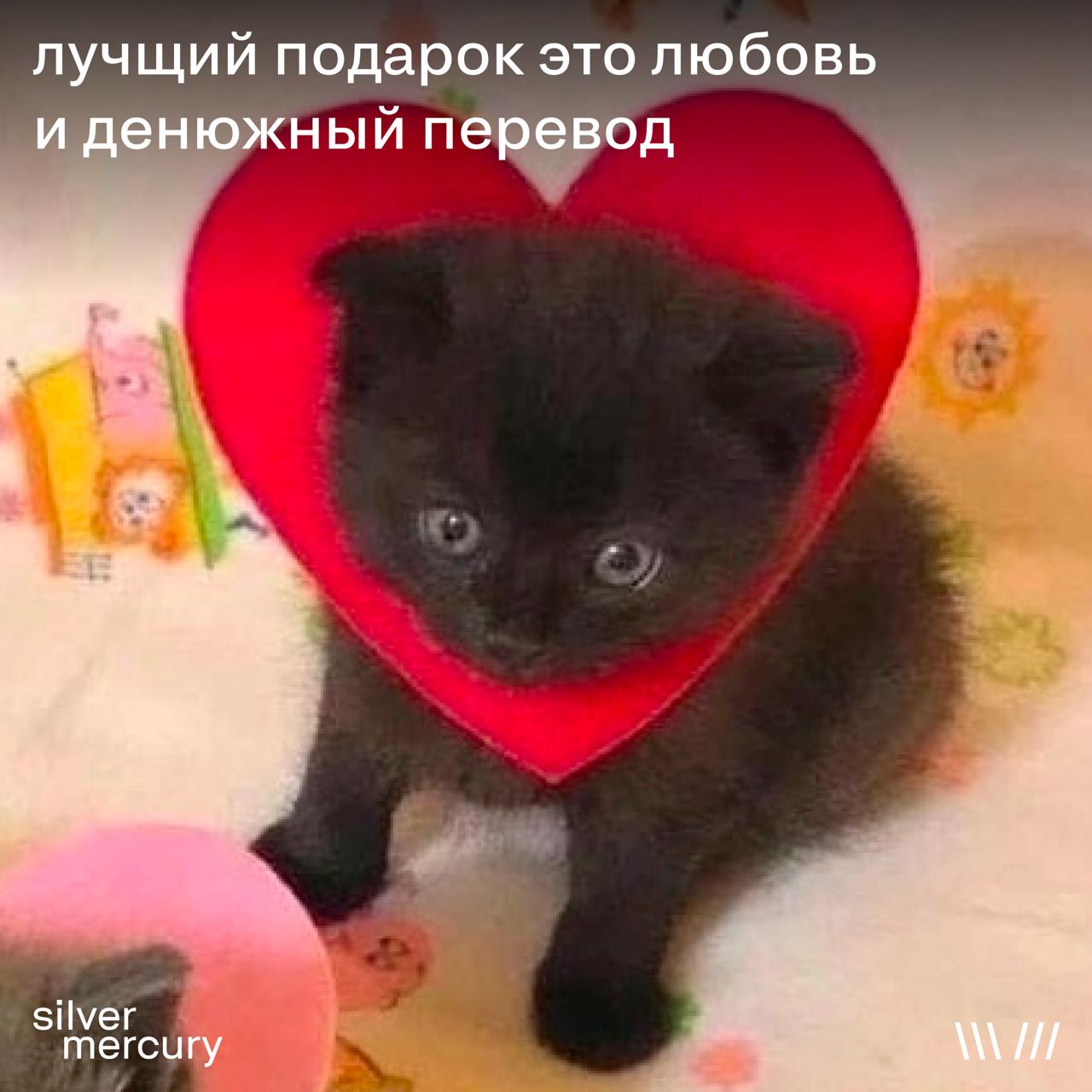 Ты знаешь, кому отправить... | Сетка — социальная сеть от hh.ru