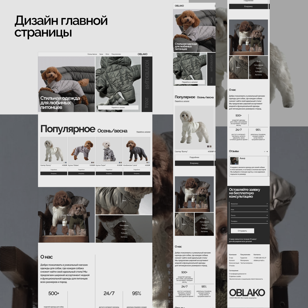 Концепт дизайна сайта интернет-магазина | Сетка — социальная сеть от hh.ru
