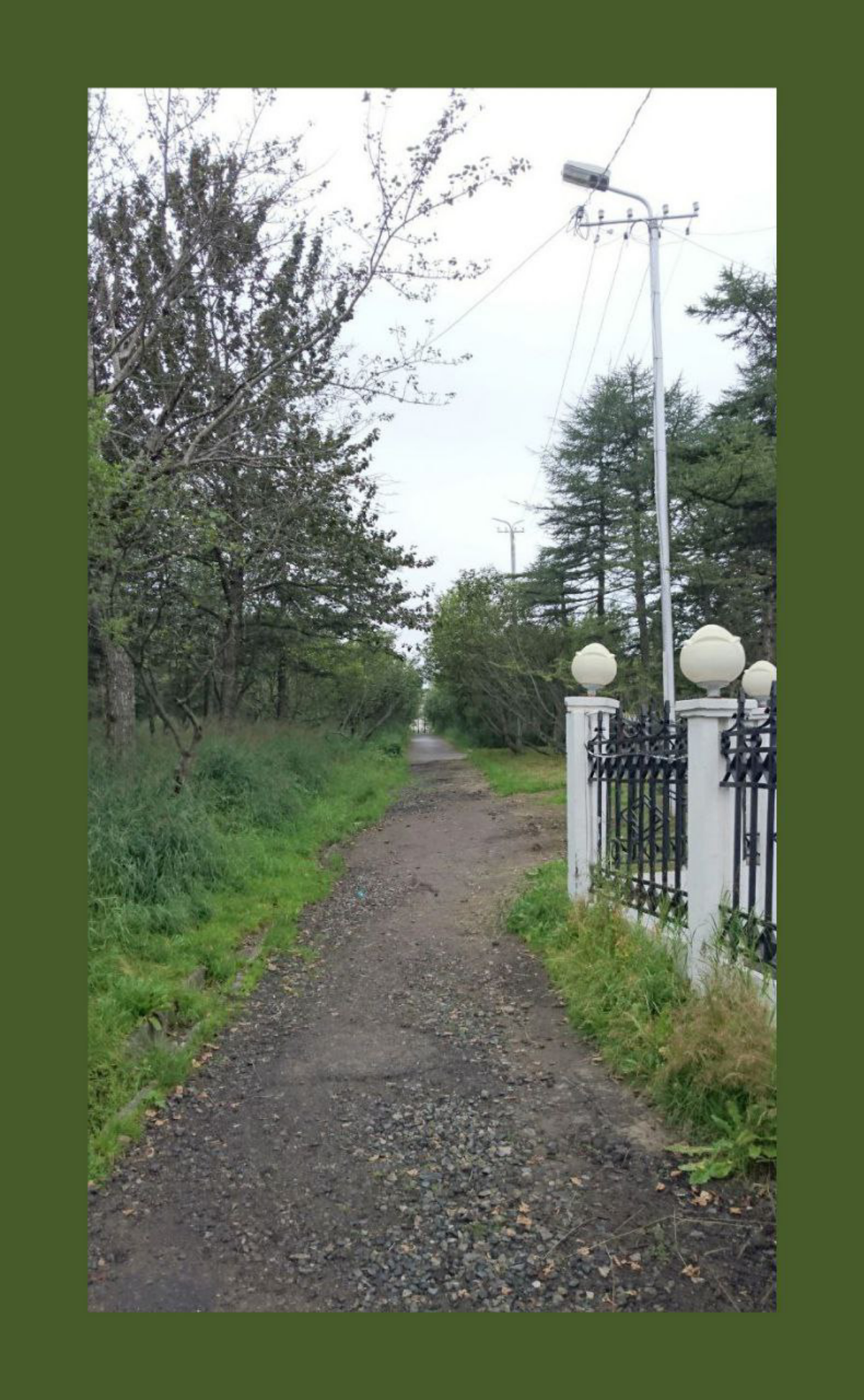 Секретные тропы Парка / Secret path of Park | Сетка — социальная сеть от hh.ru