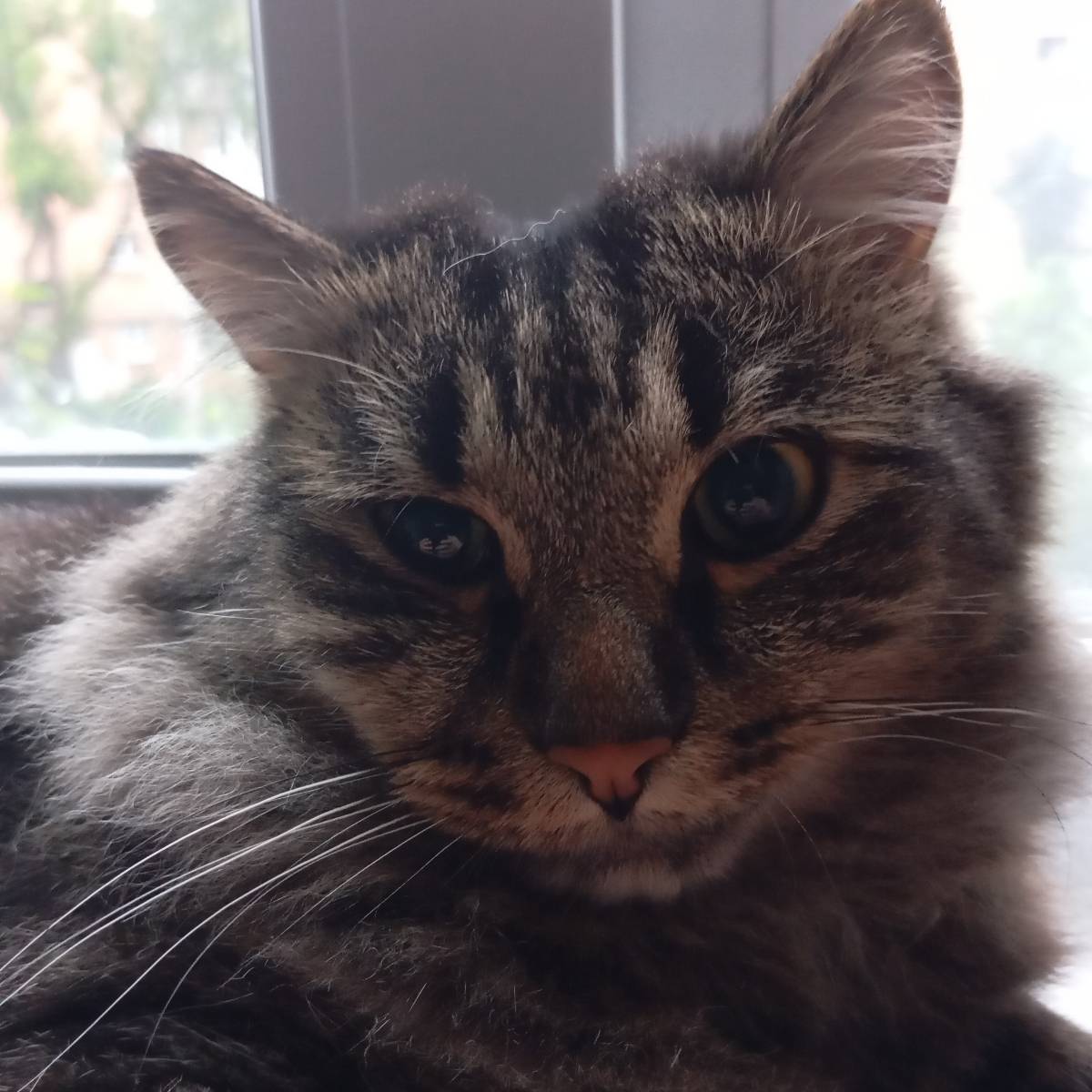 Владимир Высотин | Сетка — социальная сеть от hh.ru