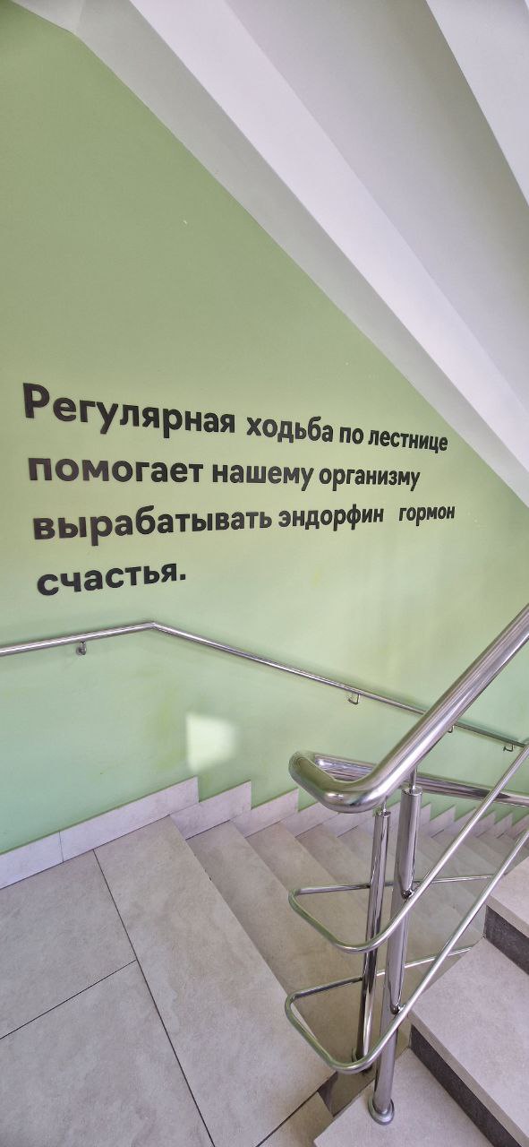 Стартап не единственный способ получения эндорфинов! | Сетка — социальная сеть от hh.ru