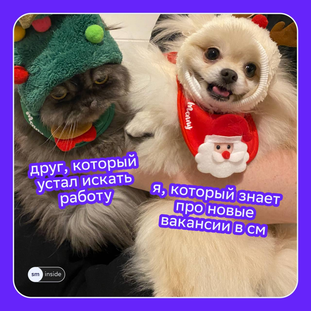 Новые вакансии в СМ уже тут — смотри сам и делись с друзьями, которые устали от бесконечного скроллинга джоб-сайтов ❤️
🔵 Digital Account Manager
🔵 Менеджер по контекстной рекламе
🔵 Programmatic Manage... | Сетка — социальная сеть от hh.ru