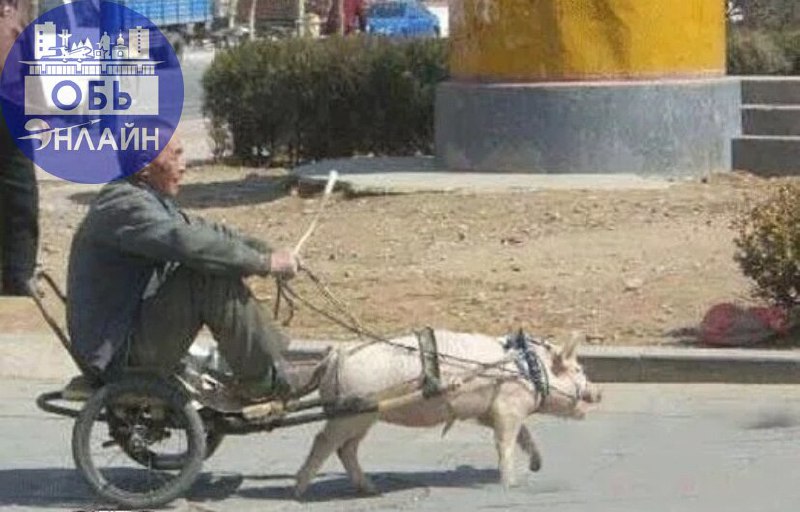 ↗ Уважаемые пилоты, водителя, гонщики и извозчики которые ездят на разного вида техники( хотя некоторые трудно назвать техникой) прошу вас почините выхлопные трубы или поменяйте чтобы они соответствов... | Сетка — социальная сеть от hh.ru