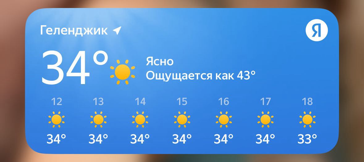 Коротко о лете в Геленджике 🌡️🥵 | Сетка — социальная сеть от hh.ru