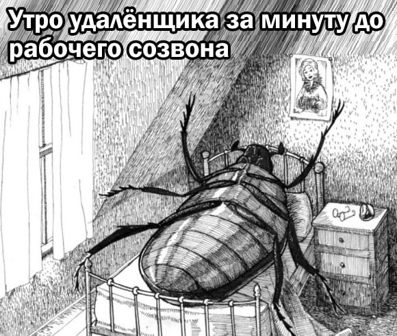 процесс раздупления активирован. | Сетка — социальная сеть от hh.ru