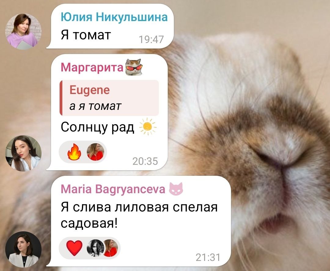 Тест на возраст пройден 😂 | Сетка — социальная сеть от hh.ru