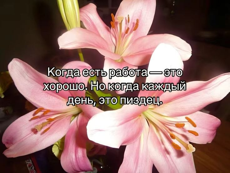 Как ощущается работа после 2 созвонов/консультаций подряд ✨️ | Сетка — социальная сеть от hh.ru