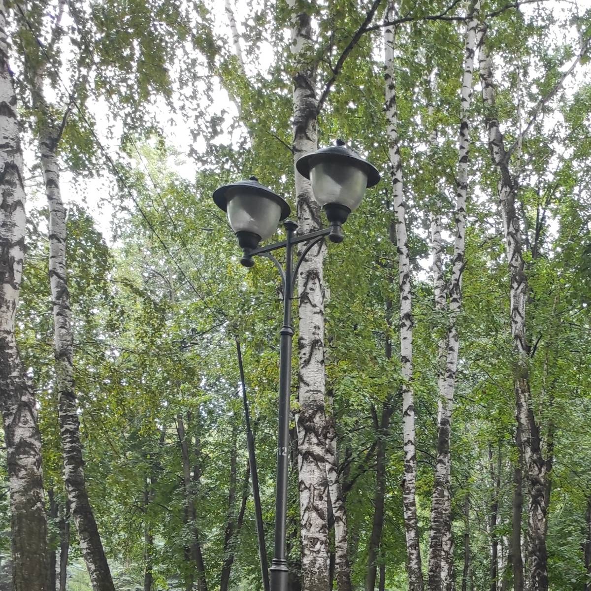 Давид Чакветадзе | Сетка — социальная сеть от hh.ru