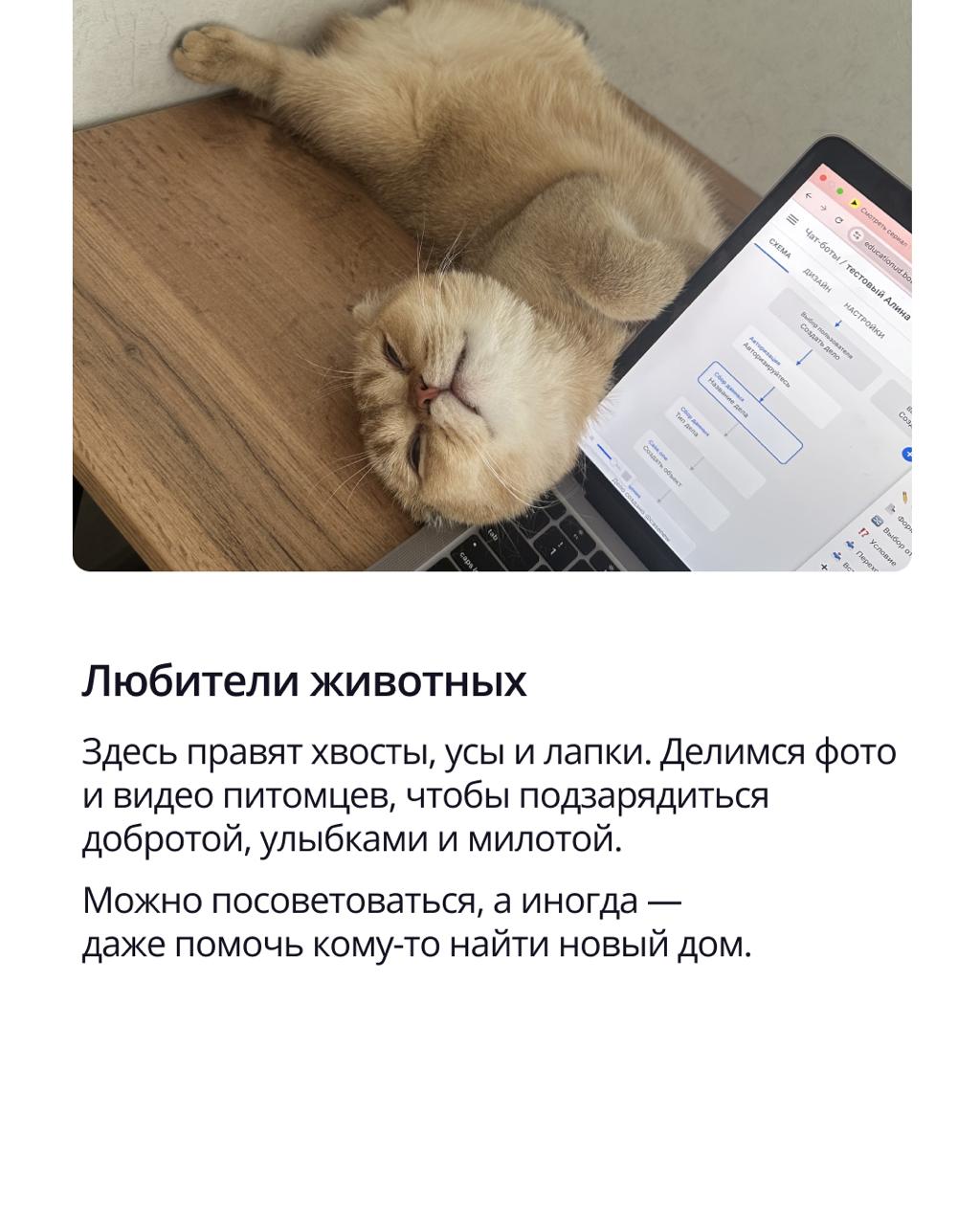 🟣 Не работой единой | Сетка — социальная сеть от hh.ru