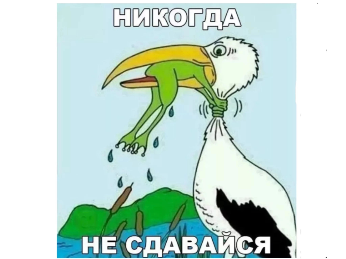 Немного о себе. | Сетка — социальная сеть от hh.ru