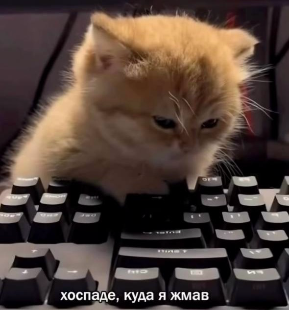 Я после отпуска: | Сетка — социальная сеть от hh.ru