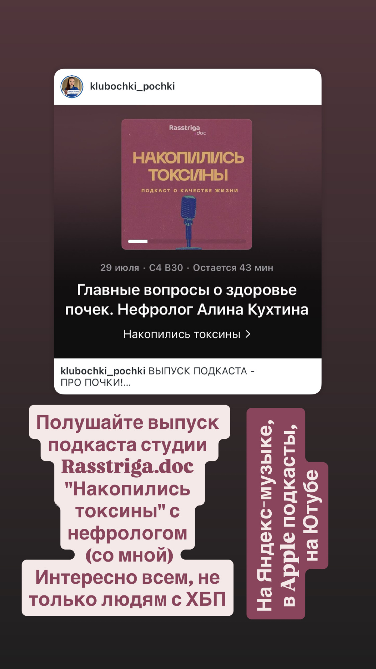 ВЫПУСК ПОДКАСТА О КАЧЕСТВЕ ЖИЗНИ - ПРО ПОЧКИ - СО МНОЙ | Сетка — социальная сеть от hh.ru
