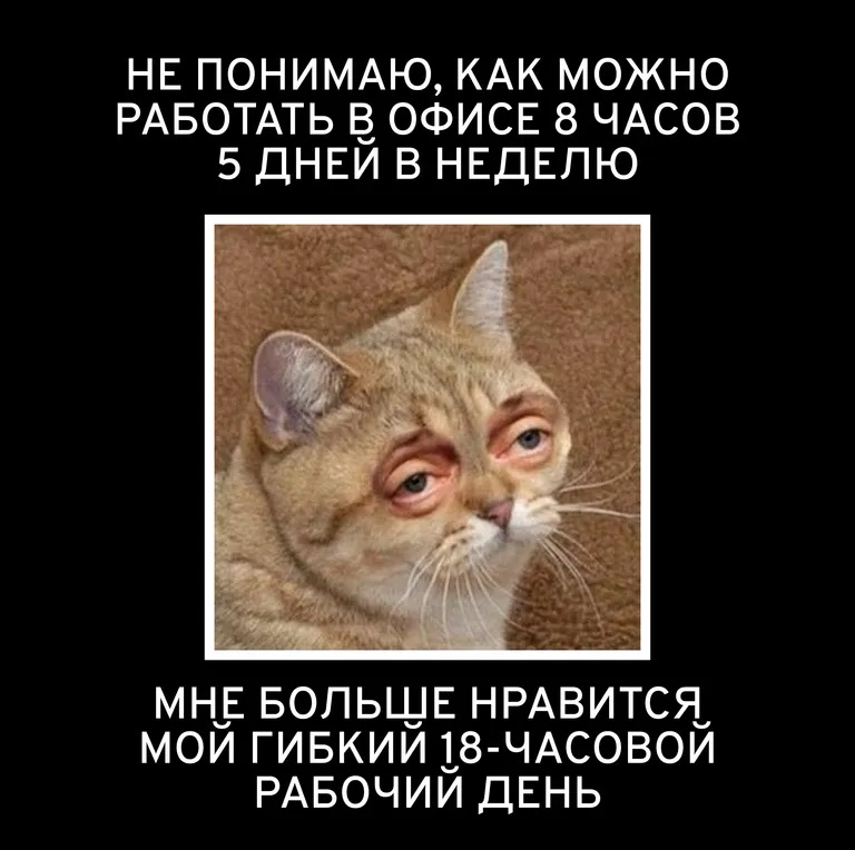 Топовые кандидаты отказываются от офисов(даже за большие💰) | Сетка — социальная сеть от hh.ru